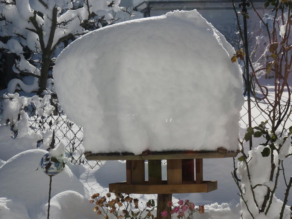 Urlaub Bei Freunden Lägenhet Füssen Exteriör bild