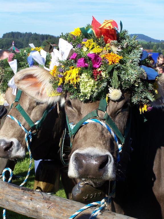 Urlaub Bei Freunden Lägenhet Füssen Exteriör bild
